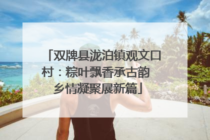 双牌县泷泊镇观文口村：粽叶飘香承古韵 乡情凝聚展新篇