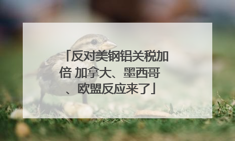 反对美钢铝关税加倍 加拿大、墨西哥、欧盟反应来了