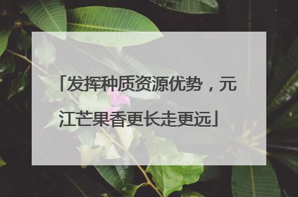 发挥种质资源优势，元江芒果香更长走更远