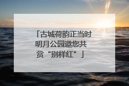 古城荷韵正当时 明月公园邀您共赏“别样红”