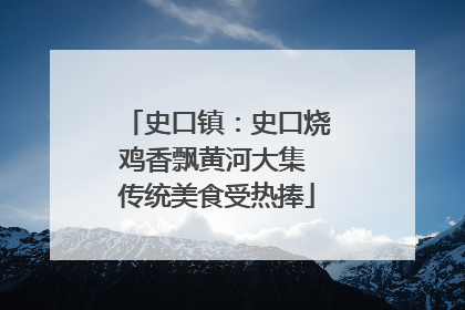 史口镇：史口烧鸡香飘黄河大集 传统美食受热捧