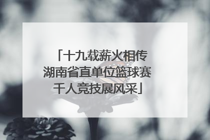 十九载薪火相传 湖南省直单位篮球赛千人竞技展风采