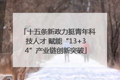 十五条新政力挺青年科技人才 赋能“13+34”产业链创新突破