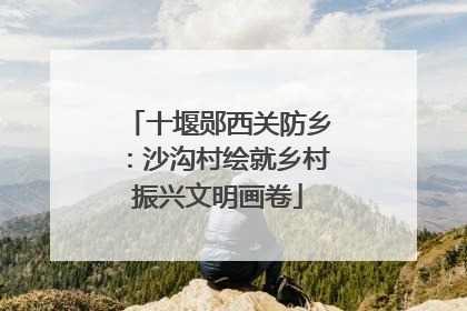十堰郧西关防乡：沙沟村绘就乡村振兴文明画卷