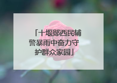 十堰郧西民辅警暴雨中奋力守护群众家园