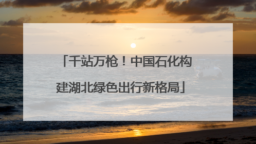 千站万枪！中国石化构建湖北绿色出行新格局