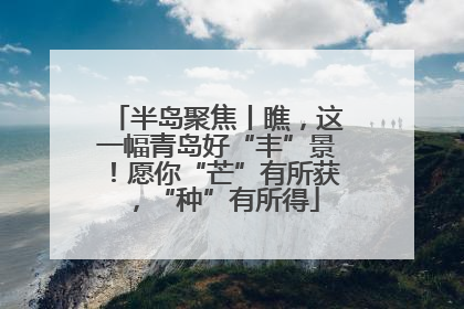 半岛聚焦丨瞧，这一幅青岛好“丰”景！愿你“芒”有所获，“种”有所得