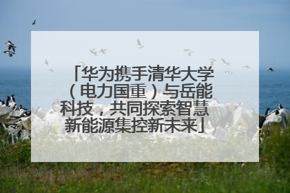 华为携手清华大学（电力国重）与岳能科技，共同探索智慧新能源集控新未来