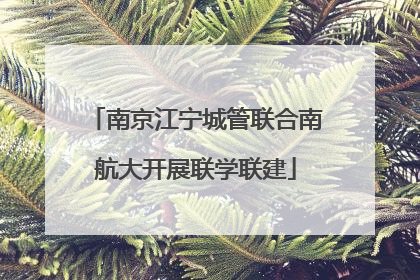 南京江宁城管联合南航大开展联学联建