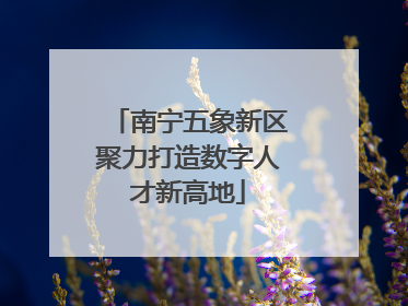 南宁五象新区聚力打造数字人才新高地