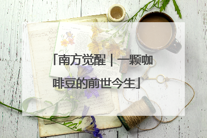 南方觉醒｜一颗咖啡豆的前世今生