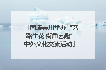 南通崇川举办“艺路生花·街角艺趣”中外文化交流活动