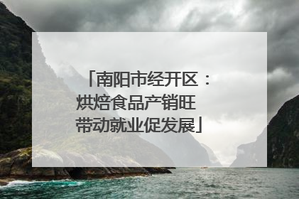 南阳市经开区：烘焙食品产销旺 带动就业促发展