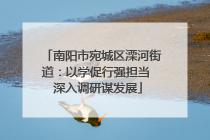 南阳市宛城区溧河街道：以学促行强担当 深入调研谋发展