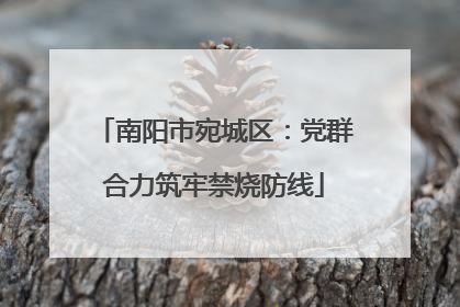南阳市宛城区：党群合力筑牢禁烧防线