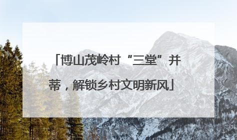 博山茂岭村“三堂”并蒂，解锁乡村文明新风