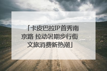 卡皮巴拉IP首秀南京路 拉动暑期步行街文旅消费新热潮