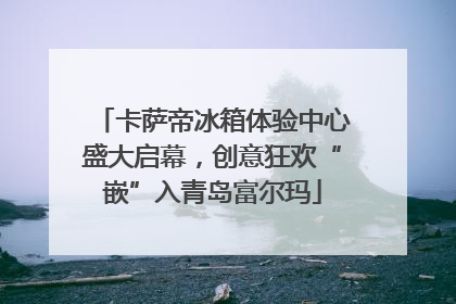 卡萨帝冰箱体验中心盛大启幕，创意狂欢“嵌”入青岛富尔玛