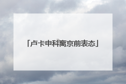 卢卡申科离京前表态