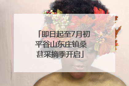 即日起至7月初 平谷山东庄镇桑葚采摘季开启