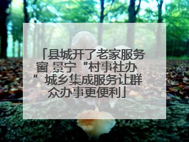 县城开了老家服务窗 景宁“村事社办”城乡集成服务让群众办事更便利