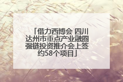 借力西博会 四川达州市重点产业融圈强链投资推介会上签约58个项目