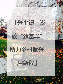 兴平镇：发放“致富羊”助力乡村振兴启新程