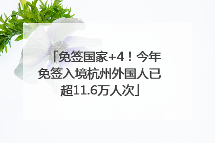 免签国家+4！今年免签入境杭州外国人已超11.6万人次