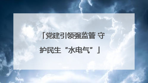 党建引领强监管 守护民生“水电气”