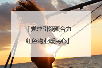 党建引领聚合力 红色物业暖民心