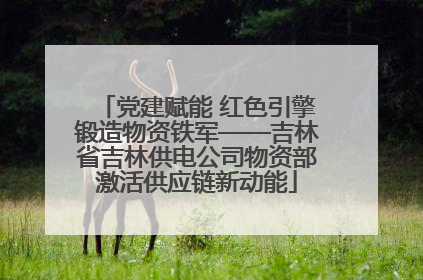 党建赋能 红色引擎锻造物资铁军——吉林省吉林供电公司物资部激活供应链新动能