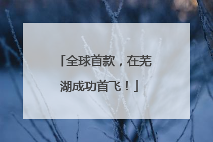 全球首款，在芜湖成功首飞！