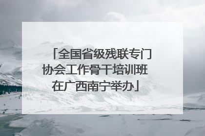 全国省级残联专门协会工作骨干培训班在广西南宁举办