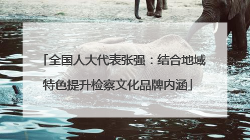 全国人大代表张强：结合地域特色提升检察文化品牌内涵
