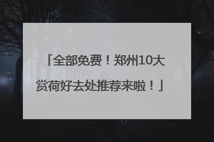 全部免费！郑州10大赏荷好去处推荐来啦！