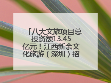 八大文旅项目总投资额13.45亿元！江西新余文化旅游（深圳）招商推介会举行