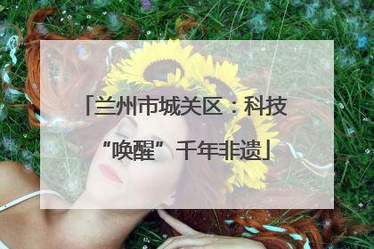 兰州市城关区：科技“唤醒”千年非遗