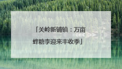 关岭新铺镇：万亩蜂糖李迎来丰收季