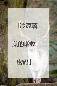 冷凉蔬菜的增收密码