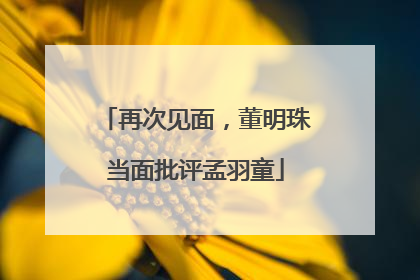 再次见面，董明珠当面批评孟羽童