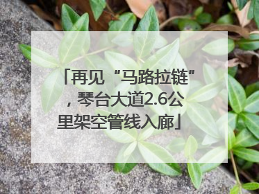 再见“马路拉链”，琴台大道2.6公里架空管线入廊