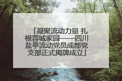 凝聚流动力量 扎根蓉城家园——四川盐亭流动党员成都党支部正式揭牌成立