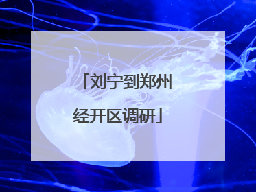 刘宁到郑州经开区调研