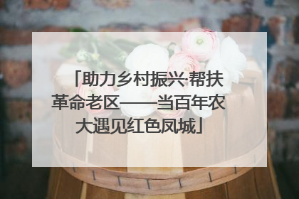 助力乡村振兴·帮扶革命老区——当百年农大遇见红色凤城