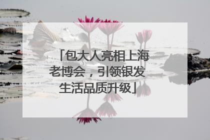 包大人亮相上海老博会，引领银发生活品质升级