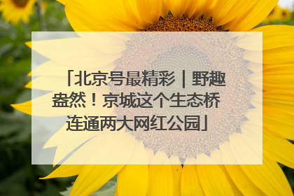 北京号最精彩｜野趣盎然！京城这个生态桥连通两大网红公园