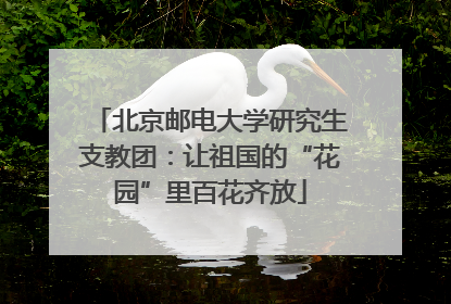 北京邮电大学研究生支教团：让祖国的“花园”里百花齐放