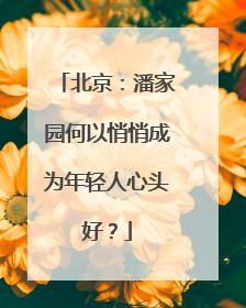 北京：潘家园何以悄悄成为年轻人心头好？