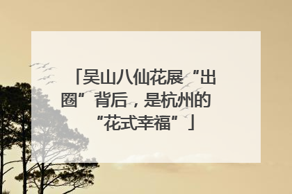吴山八仙花展“出圈”背后，是杭州的“花式幸福”