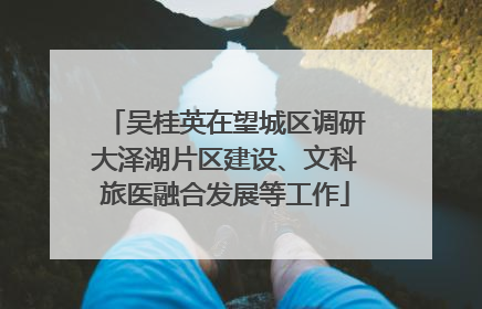 吴桂英在望城区调研大泽湖片区建设、文科旅医融合发展等工作
